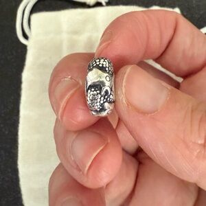 Trollbeads Sterling Silver Charm